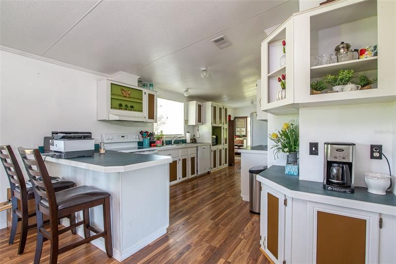 Kitchen from Living room