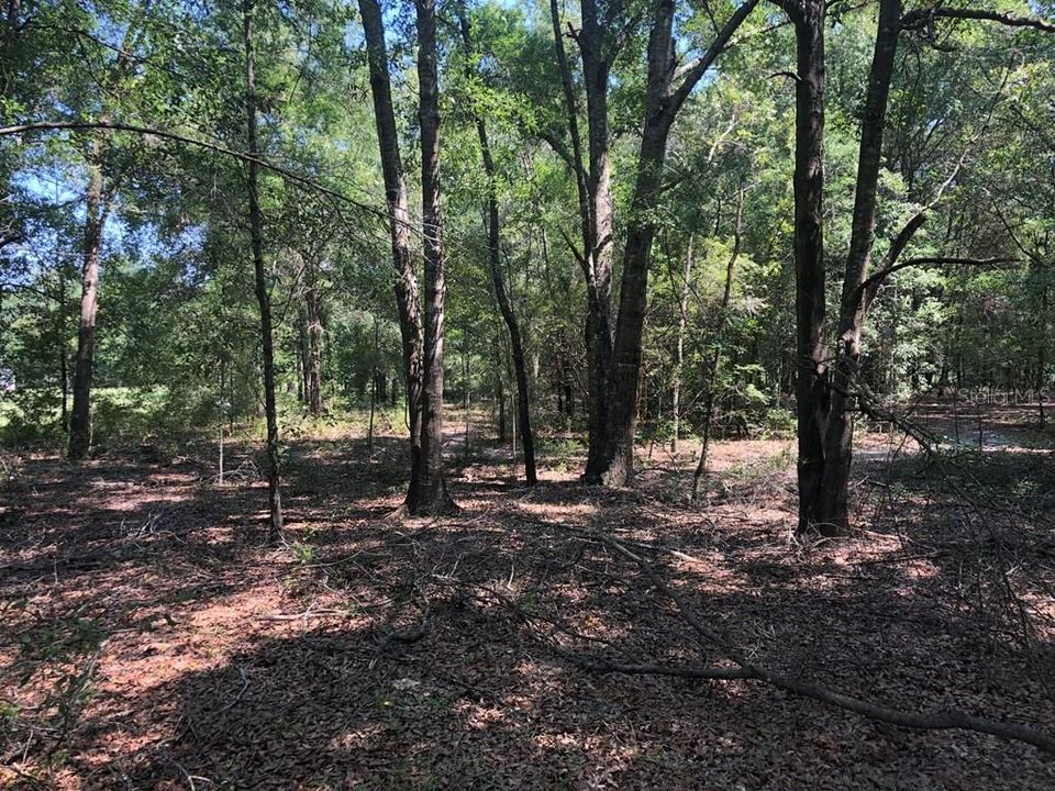 Recently Sold: $47,500 (1.12 acres)