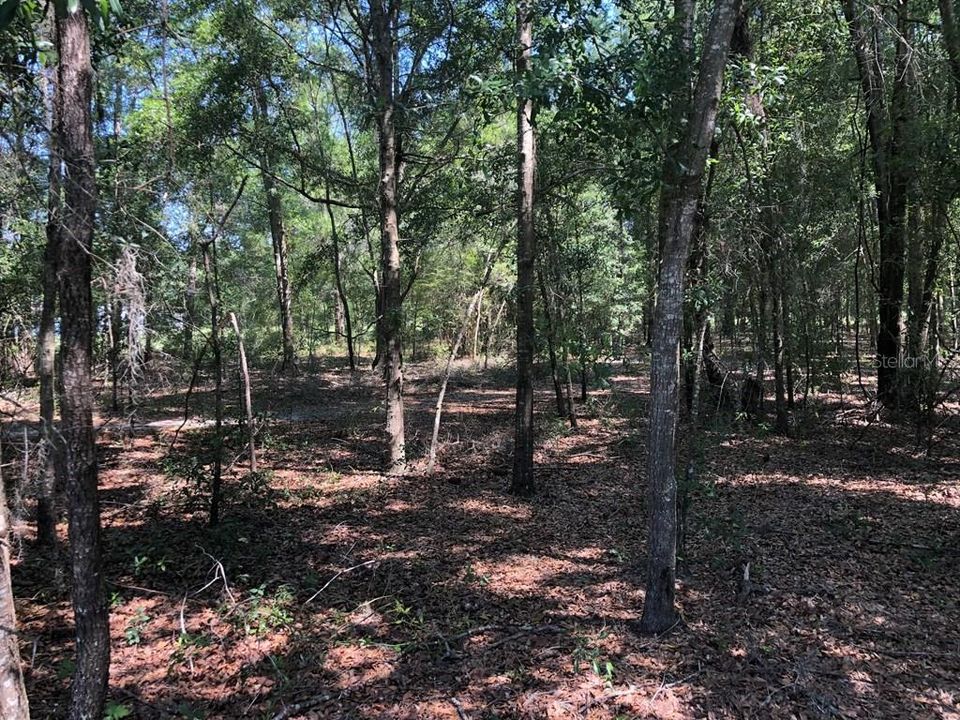 Recently Sold: $47,500 (1.12 acres)