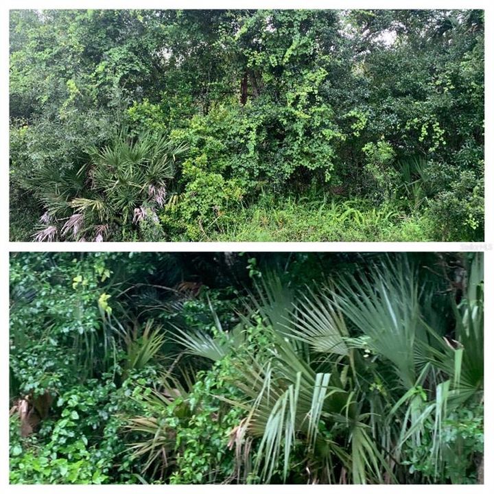 Vendido Recientemente: $11,900 (1.22 acres)