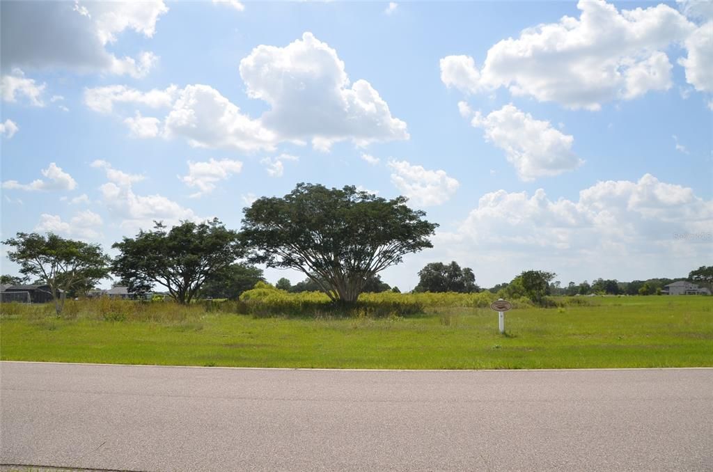 View Of Lot 34 From Across Street