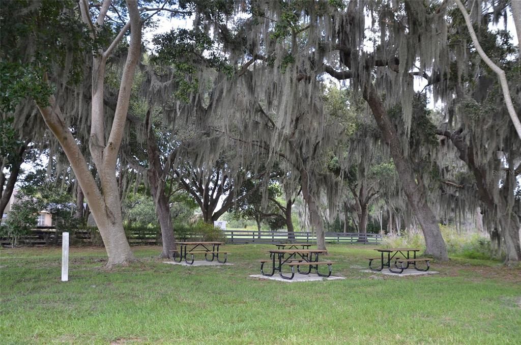 Nestled Under The Oaks, Enjoy A Picnic By The Lake