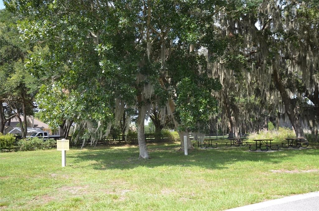 Community Picnic Area