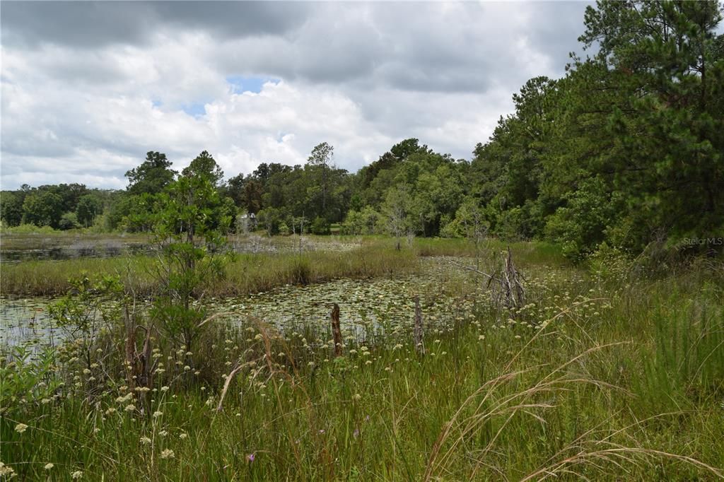 Недавно продано: $20,000 (0.50 acres)