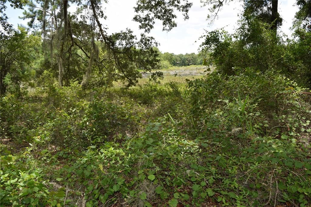 Vendido Recientemente: $20,000 (0.50 acres)