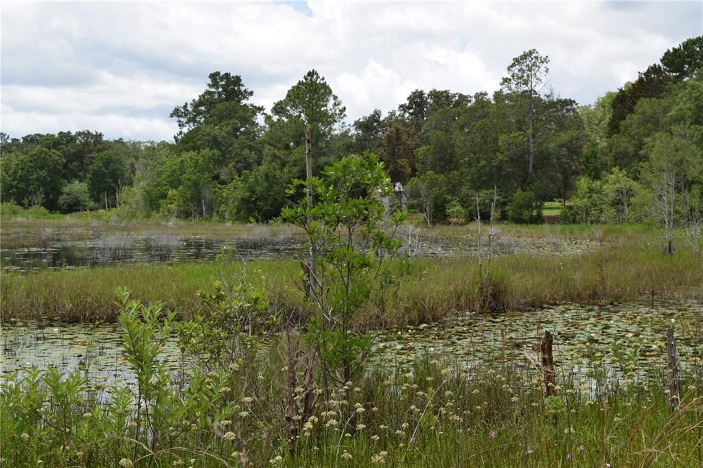 Vendido Recientemente: $20,000 (0.50 acres)