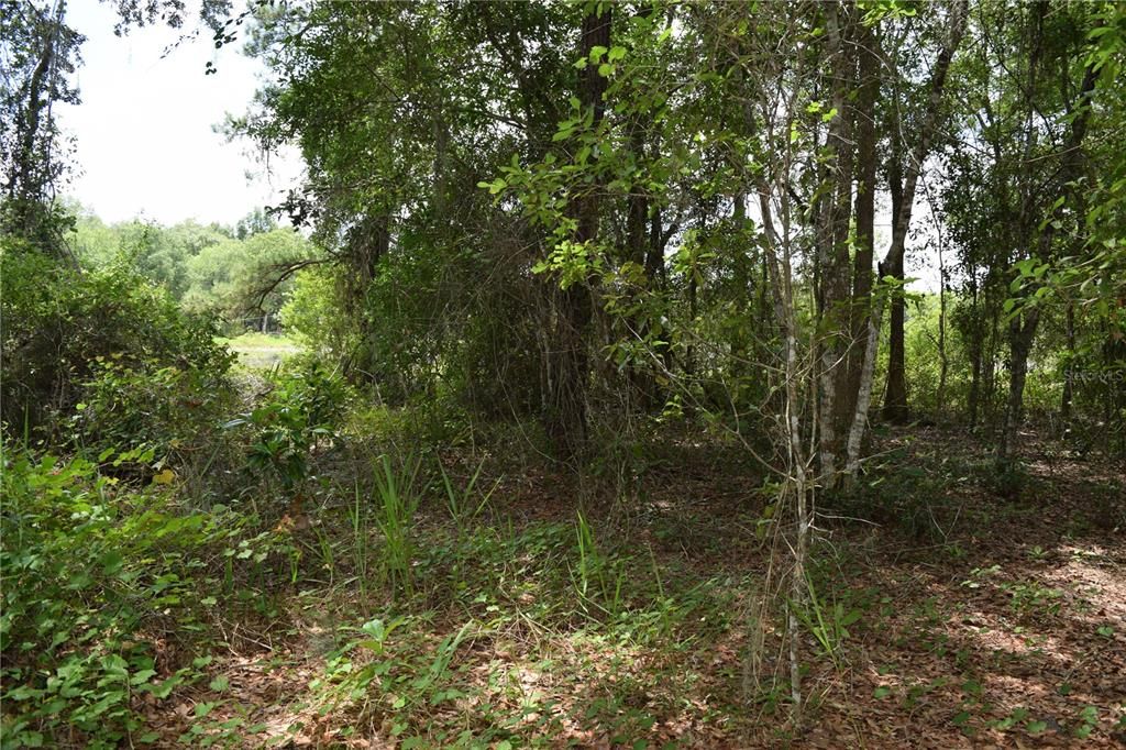 Vendido Recientemente: $20,000 (0.50 acres)