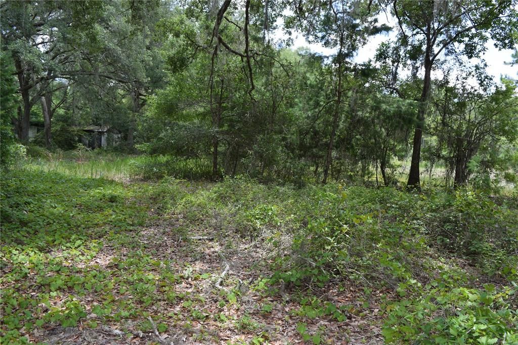 Recently Sold: $20,000 (0.50 acres)