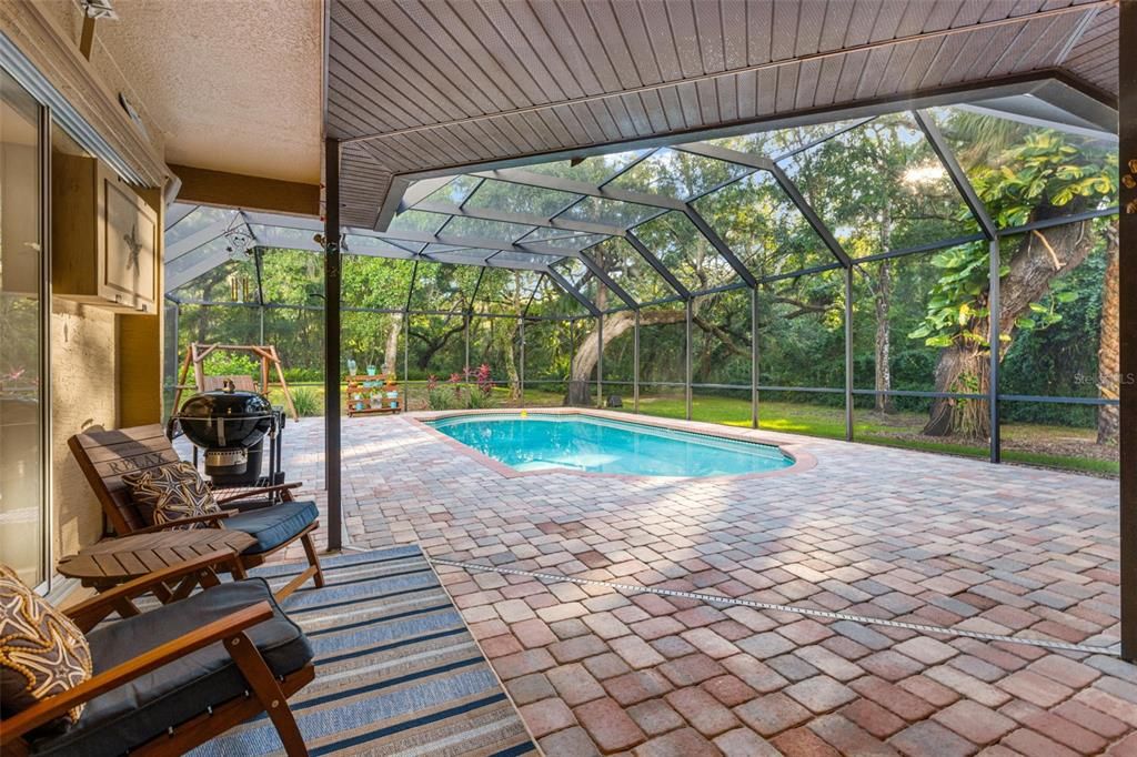 Screened in paved patio