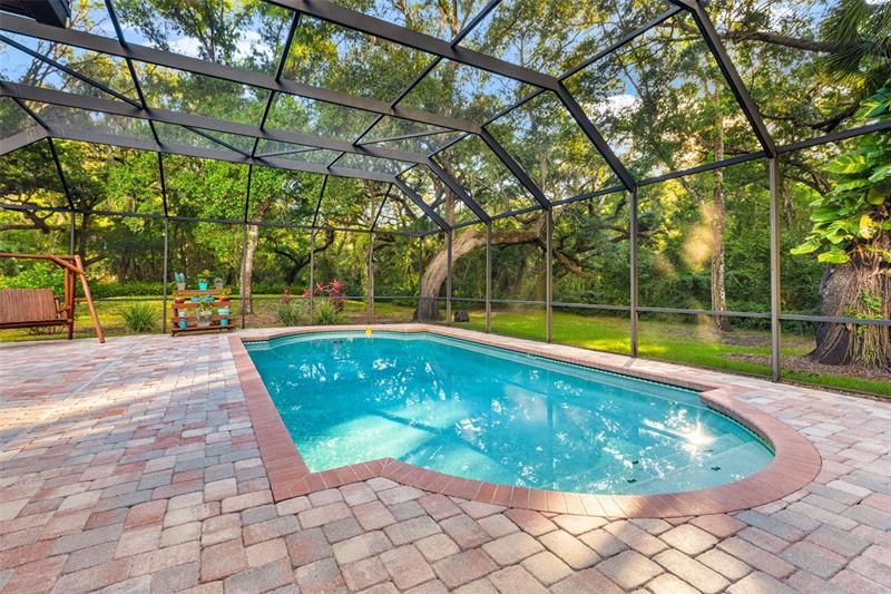 Newly screened in pool perfect to enjoy the fresh air during summer