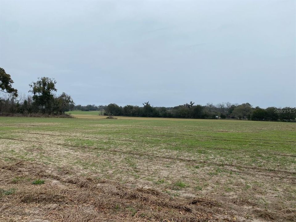 Recently Sold: $1,199,000 (87.72 acres)