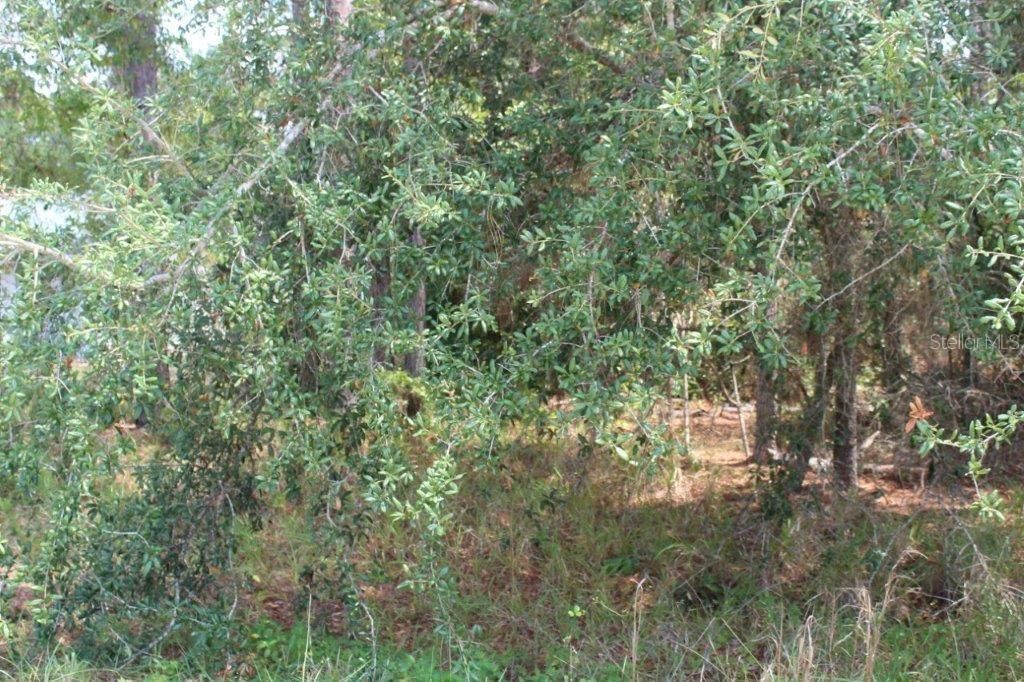 Recently Sold: $11,000 (0.35 acres)