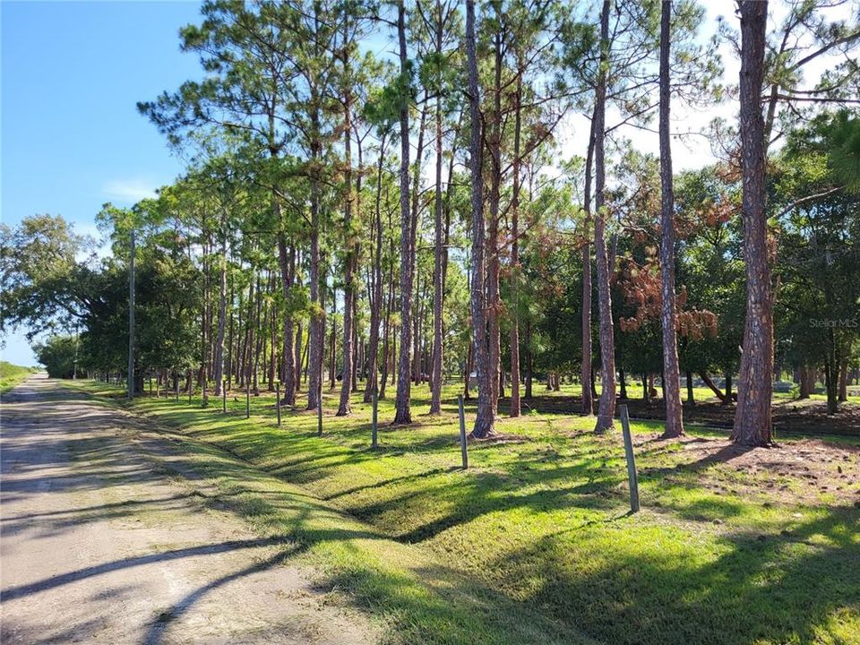 Recently Sold: $150,000 (5.00 acres)