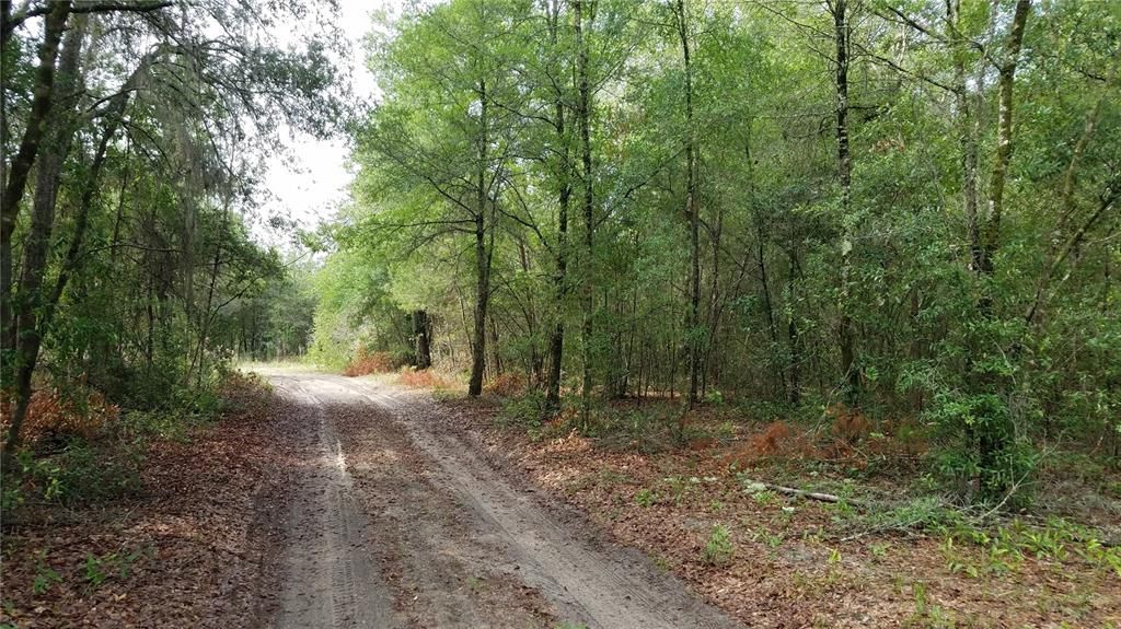 Recently Sold: $7,500 (0.71 acres)