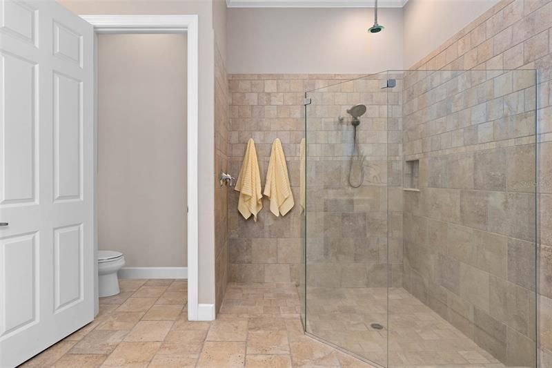 Water closet and walk-in shower