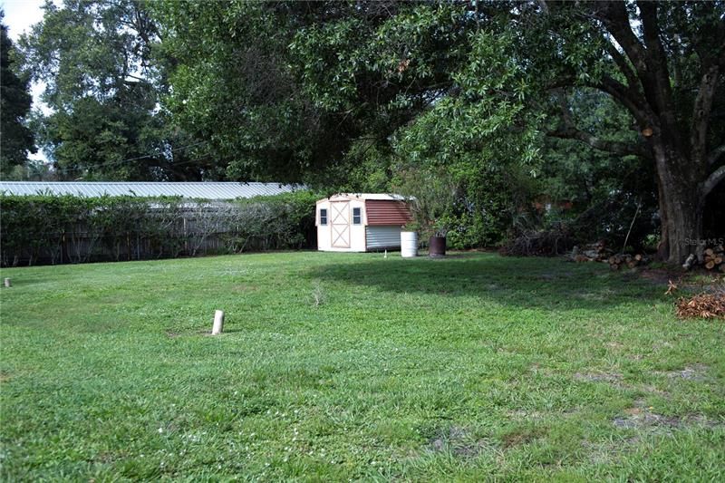 Back yard and Storage shed