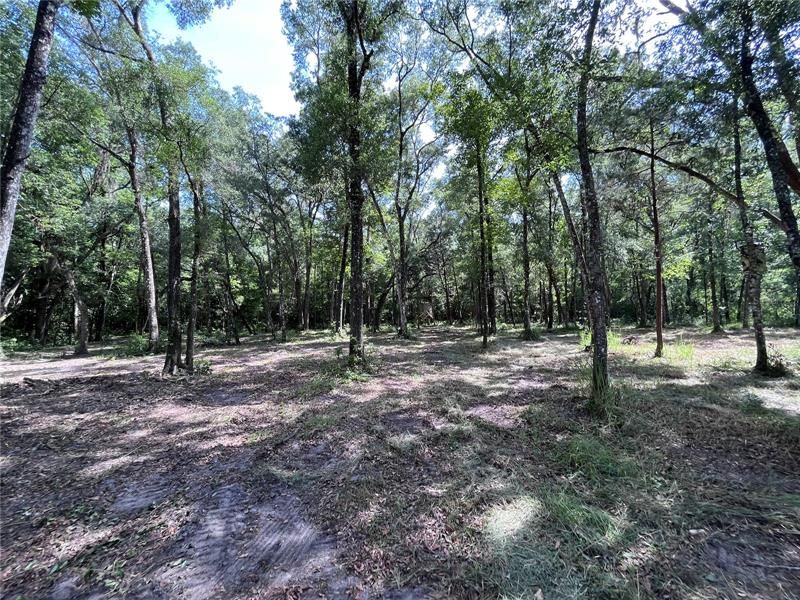 Vendido Recientemente: $40,000 (1.00 acres)