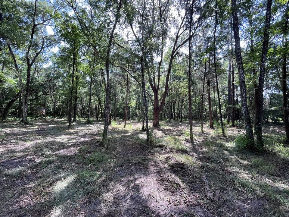 Recently Sold: $40,000 (1.00 acres)