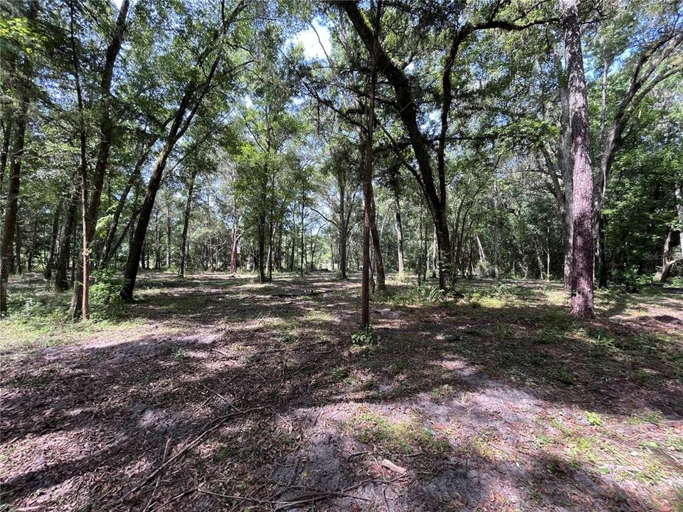 Recently Sold: $40,000 (1.00 acres)