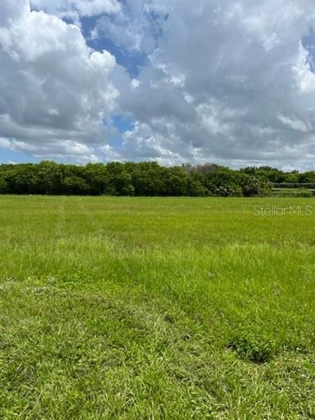 Recently Sold: $250,000 (0.29 acres)