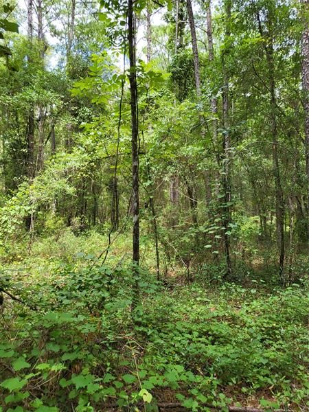Recently Sold: $279,000 (20.00 acres)