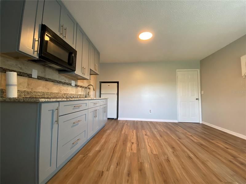 Recently Rented: $1,000 (1 beds, 1 baths, 446 Square Feet)