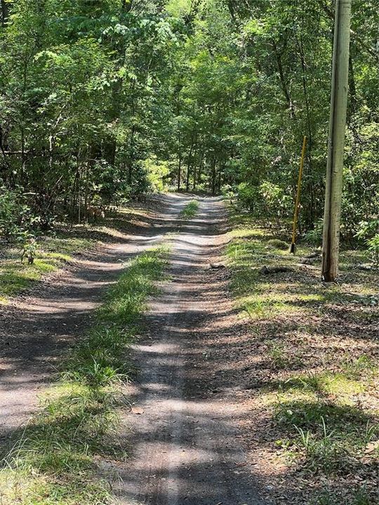 Recently Sold: $11,000 (1.11 acres)