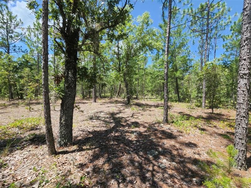 Недавно продано: $27,000 (2.30 acres)