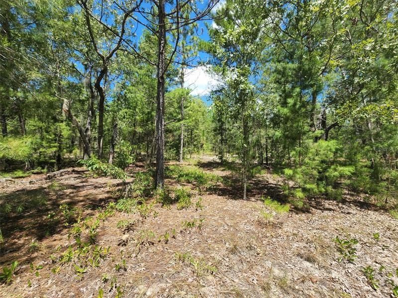 Recently Sold: $27,000 (2.30 acres)