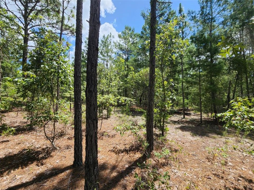 Recently Sold: $27,000 (2.30 acres)