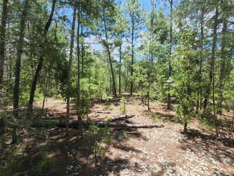Recently Sold: $27,000 (2.30 acres)