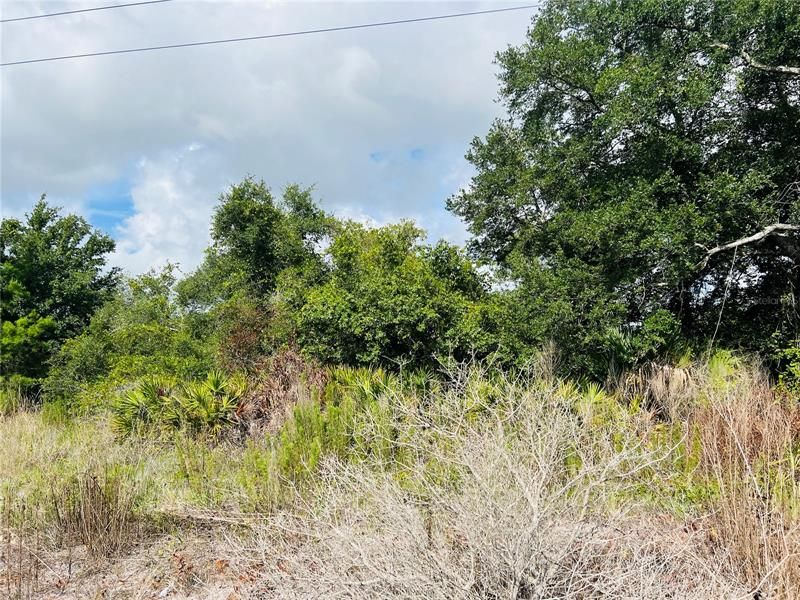 Recently Sold: $200,000 (5.44 acres)