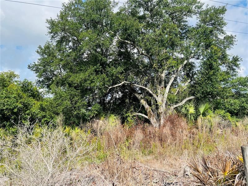 Vendido Recientemente: $200,000 (5.44 acres)