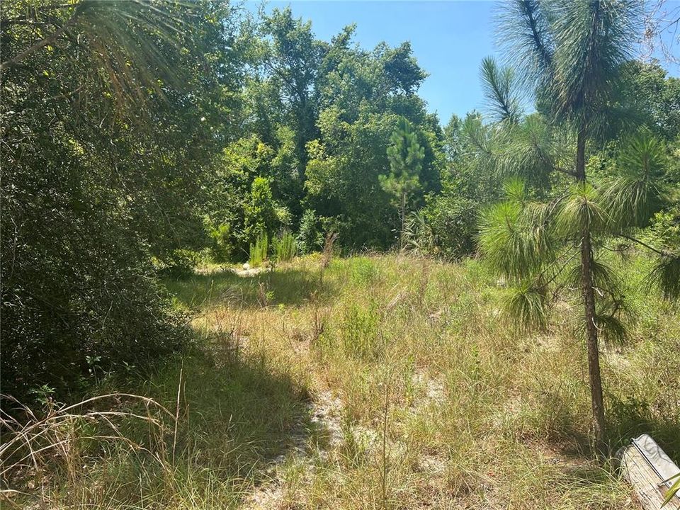 Recently Sold: $25,000 (0.29 acres)