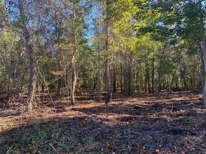 Recently Sold: $49,000 (1.74 acres)
