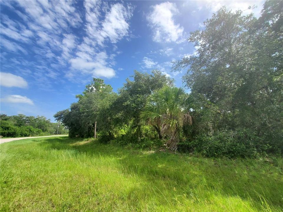 Active With Contract: $34,900 (0.54 acres)