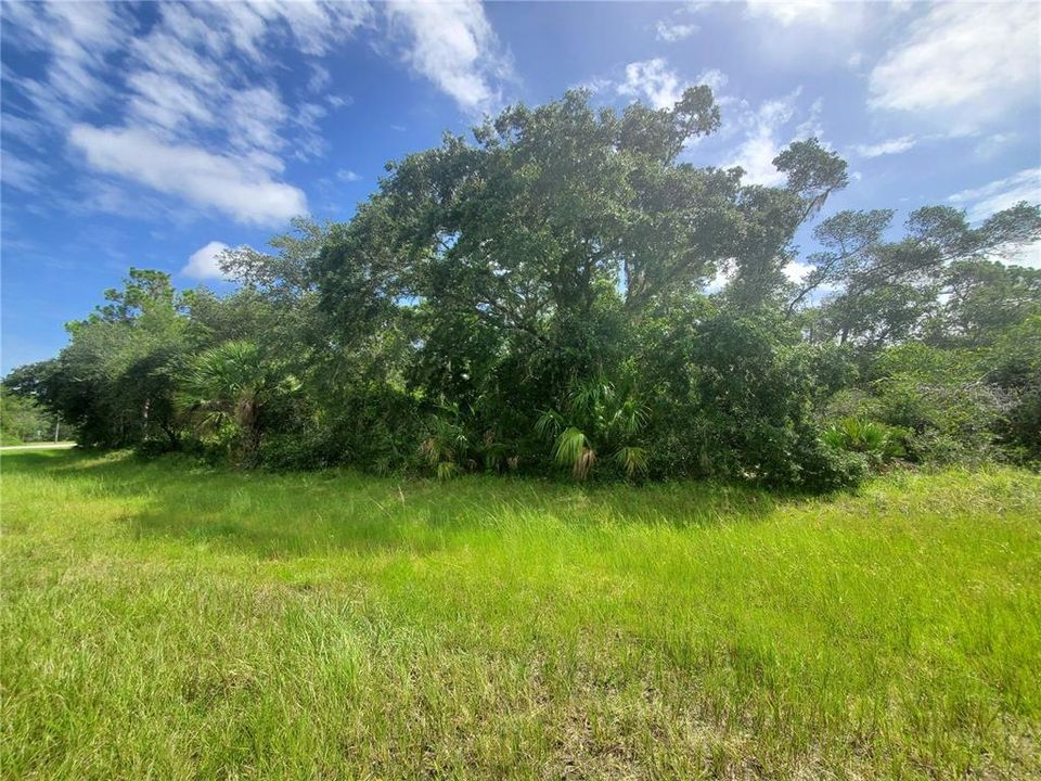 Active With Contract: $34,900 (0.54 acres)