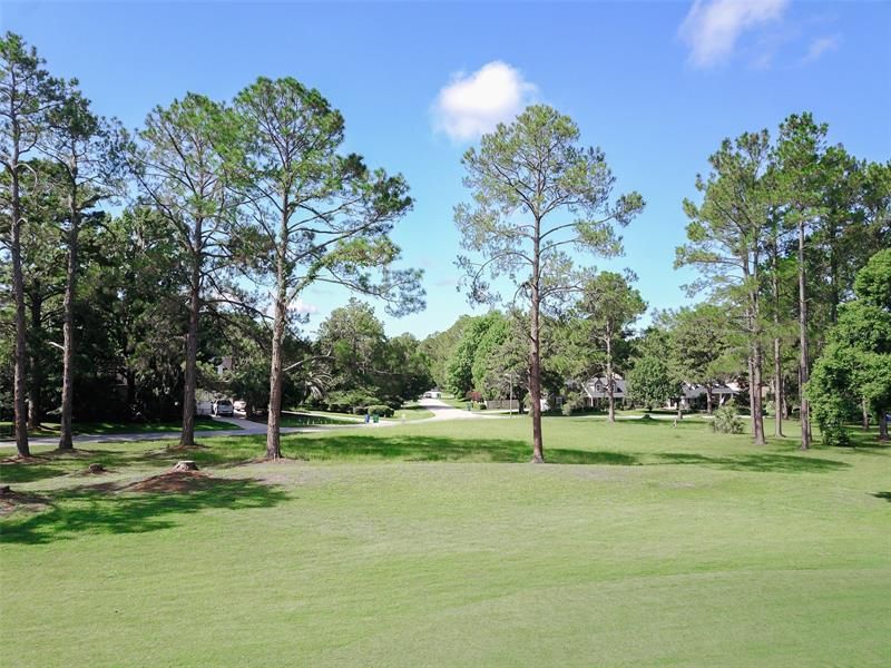 This photo is from the golf course. The property starts just beyond the pine trees.