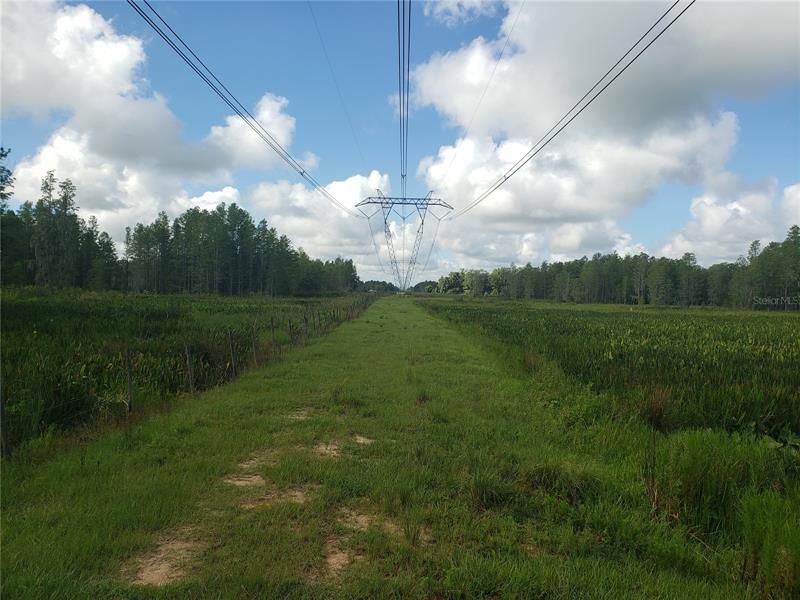 view of the power line w/built up easement. pipe line right beside it to the right in this picture