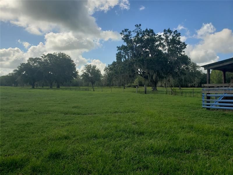 part of back pasture (55 ac)