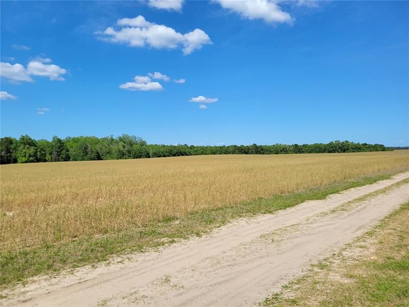 Recently Sold: $124,900 (10.10 acres)