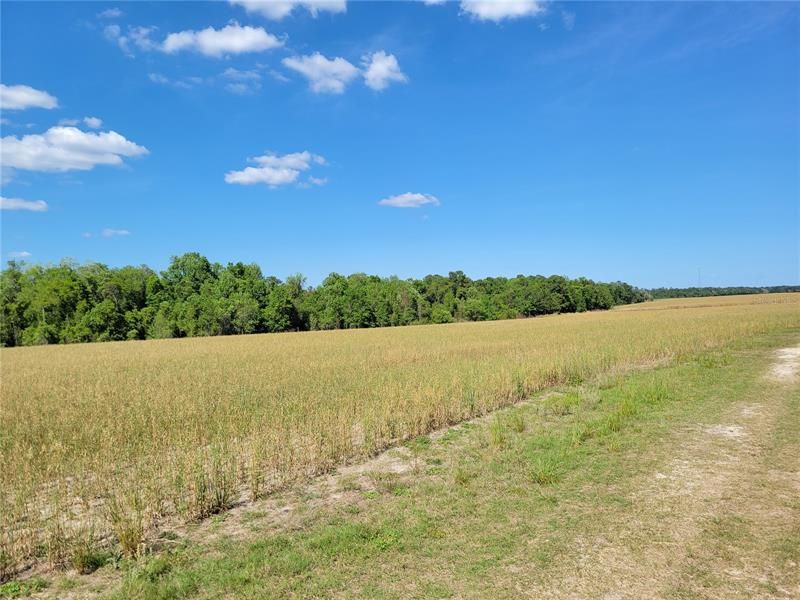 Recently Sold: $124,900 (10.10 acres)