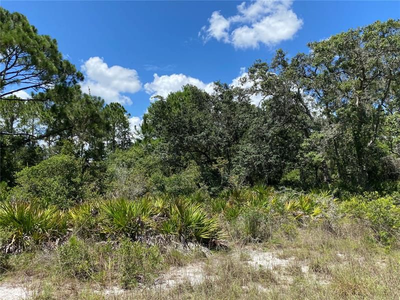 Recently Sold: $6,000 (0.24 acres)