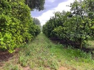 最近售出: $201,000 (16.75 acres)