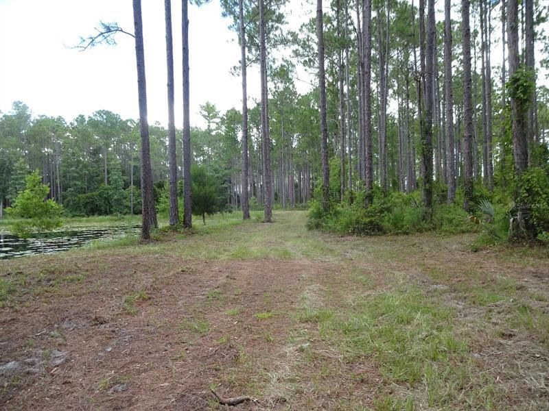 Recently Sold: $199,900 (9.80 acres)