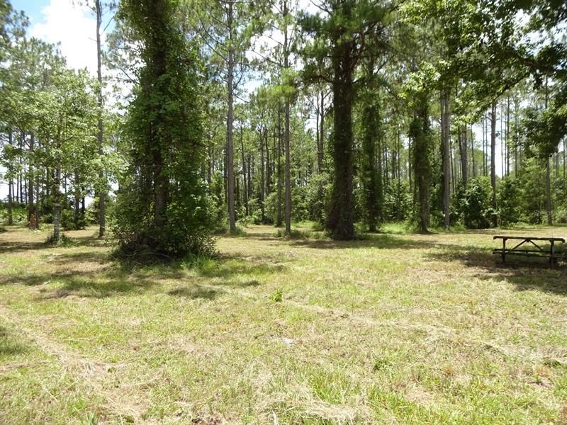 Recently Sold: $199,900 (9.80 acres)