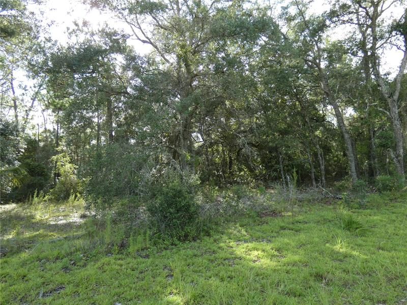 Recently Sold: $18,500 (0.45 acres)