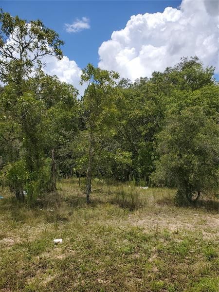 Recently Sold: $40,000 (0.78 acres)