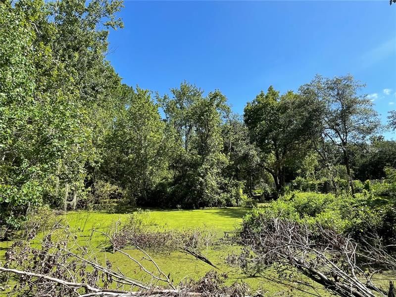 For Sale: $295,000 (2.46 acres)