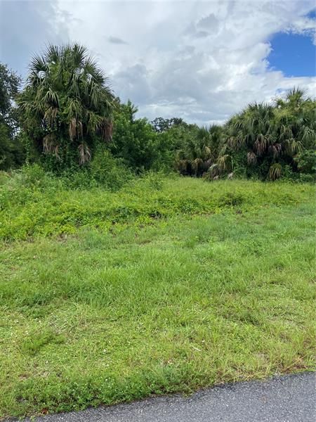 Recently Sold: $35,000 (0.42 acres)